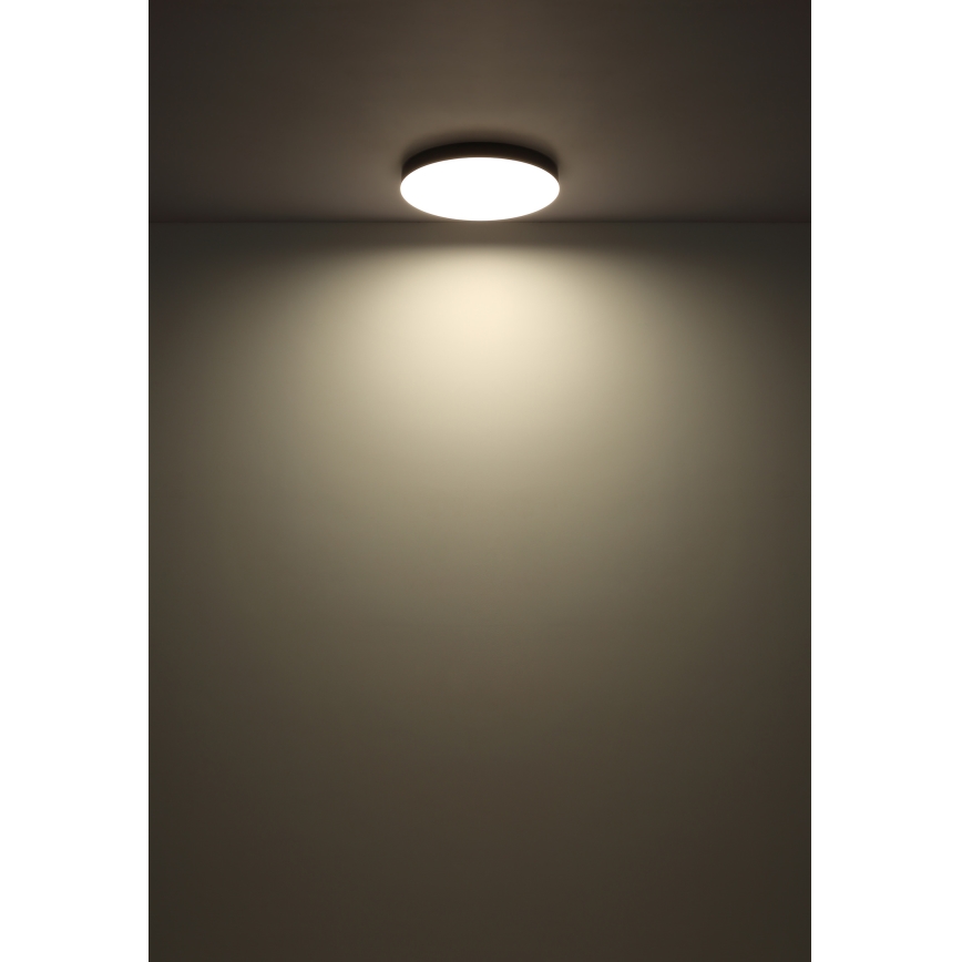 Globo - LED Stropna svjetiljka LED/36W/230V 3000K/4000K/6500K pr. 40 cm bijela