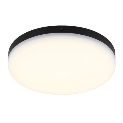 Globo - LED Stropna svjetiljka LED/12W/230V 4000K pr. 22 cm crna