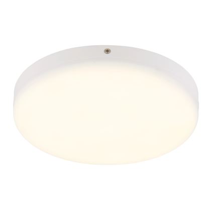 Globo - LED Stropna svjetiljka LED/12W/230V 4000K pr. 22 cm bijela