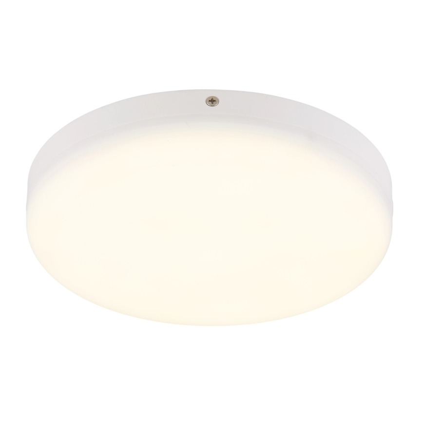 Globo - LED Stropna svjetiljka LED/12W/230V 4000K pr. 22 cm bijela