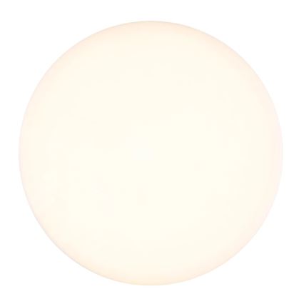 Globo - LED Stropna svjetiljka LED/8W/230V 4000K pr. 12 cm bijela