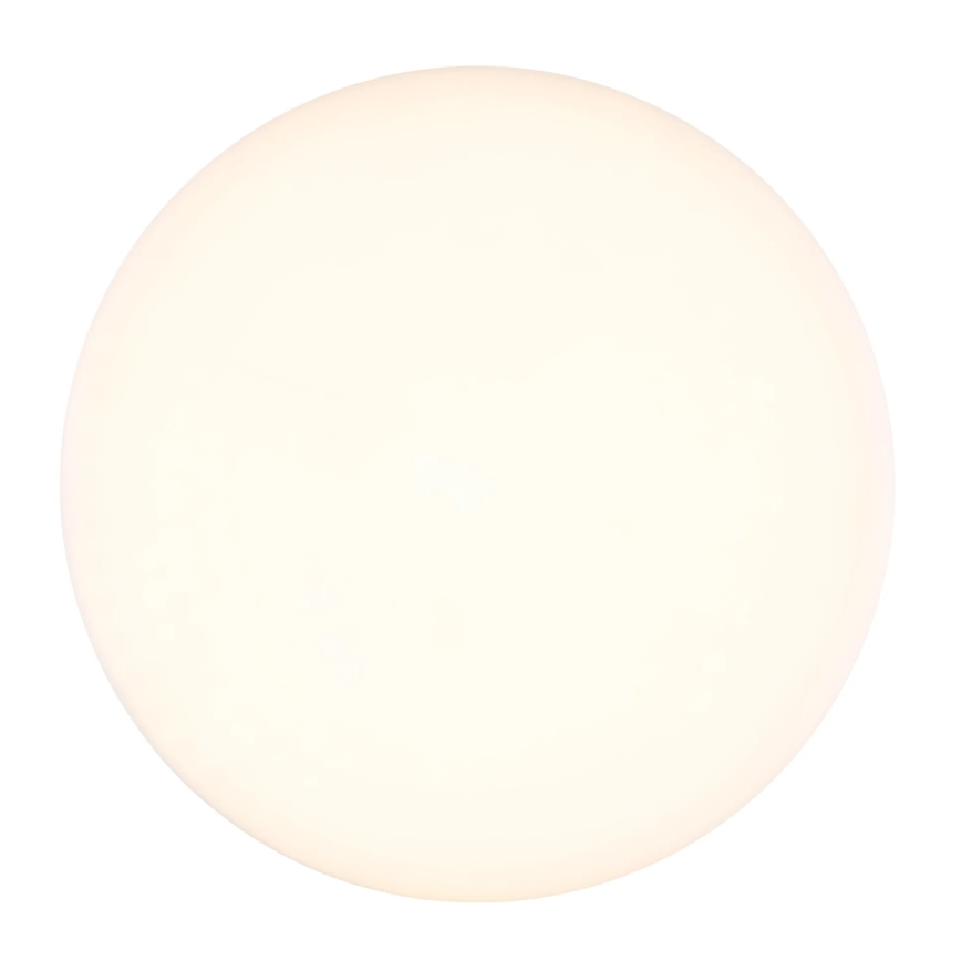 Globo - LED Stropna svjetiljka LED/8W/230V 4000K pr. 12 cm bijela