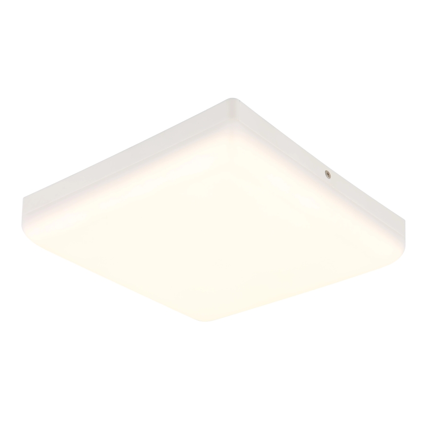 Globo - LED Stropna svjetiljka LED/12W/230V 4000K 22x22 cm bijela