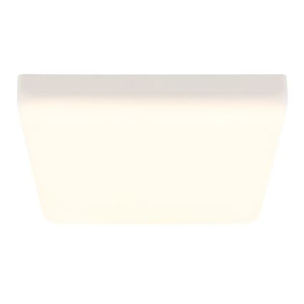 Globo - LED Stropna svjetiljka LED/12W/230V 4000K 22x22 cm bijela