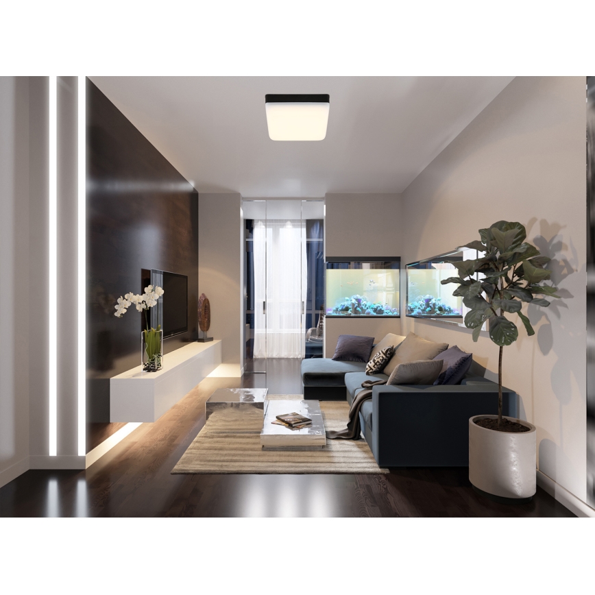 Globo - LED Stropna svjetiljka LED/8W/230V 4000K 12x12 cm crna