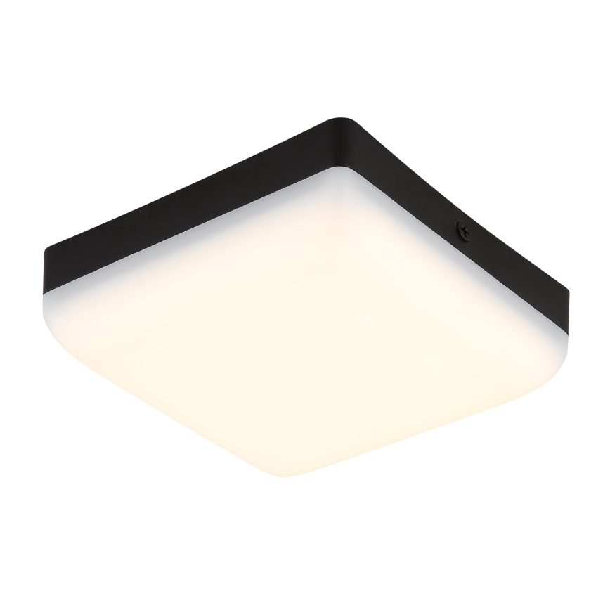 Globo - LED Stropna svjetiljka LED/8W/230V 4000K 12x12 cm crna