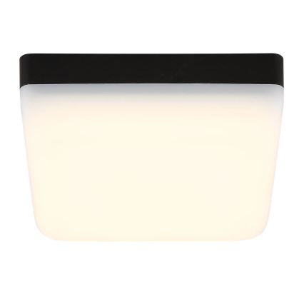 Globo - LED Stropna svjetiljka LED/8W/230V 4000K 12x12 cm crna