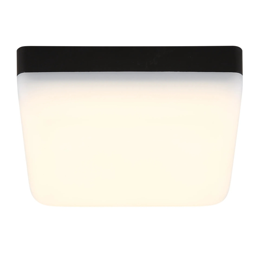 Globo - LED Stropna svjetiljka LED/8W/230V 4000K 12x12 cm crna