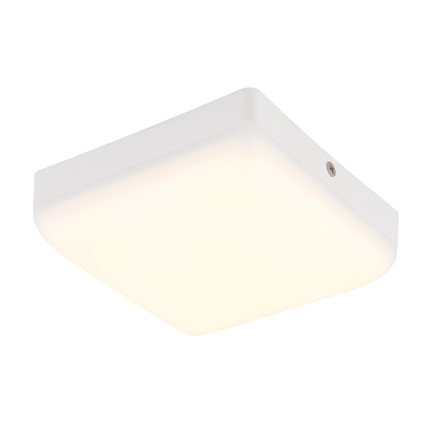 Globo - LED Stropna svjetiljka LED/8W/230V 4000K 12x12 cm bijela
