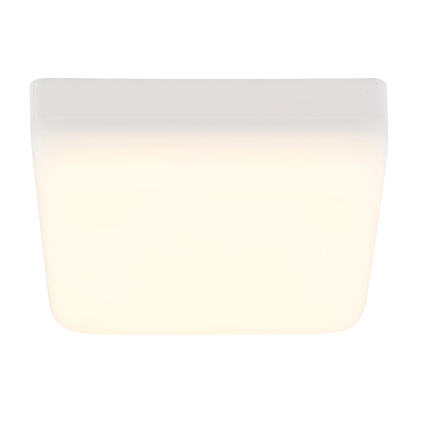 Globo - LED Stropna svjetiljka LED/8W/230V 4000K 12x12 cm bijela