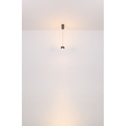 Globo - LED Luster na sajli LED/6W/230V
