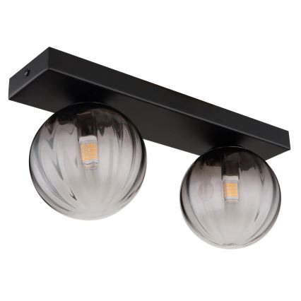 Globo - Stropna svjetiljka 2xG9/10W/230V