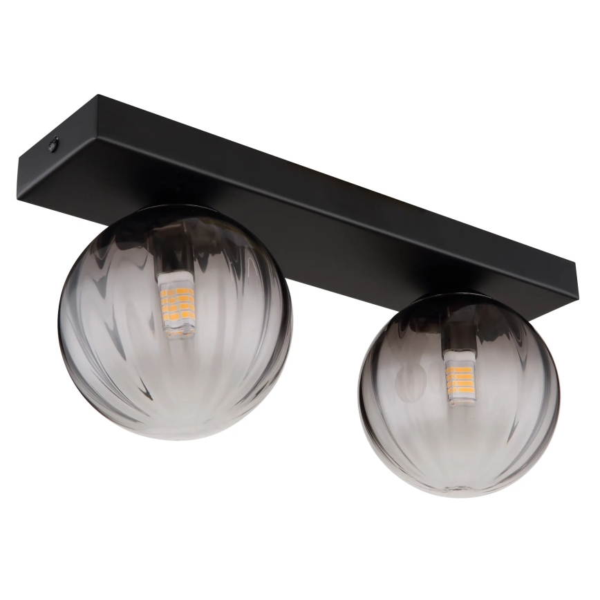 Globo - Stropna svjetiljka 2xG9/10W/230V