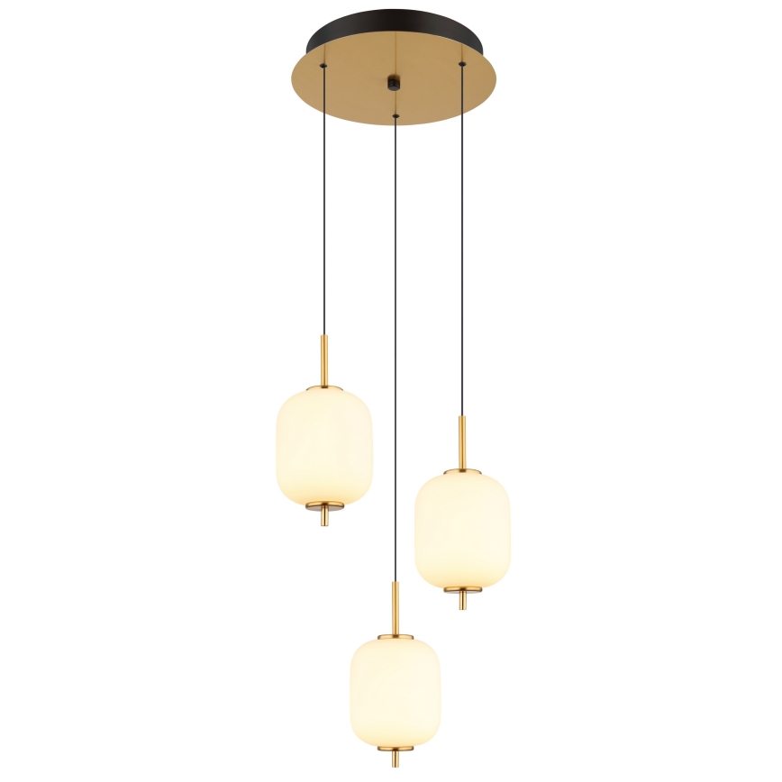 Globo - LED Luster na sajli LED/20W/230V