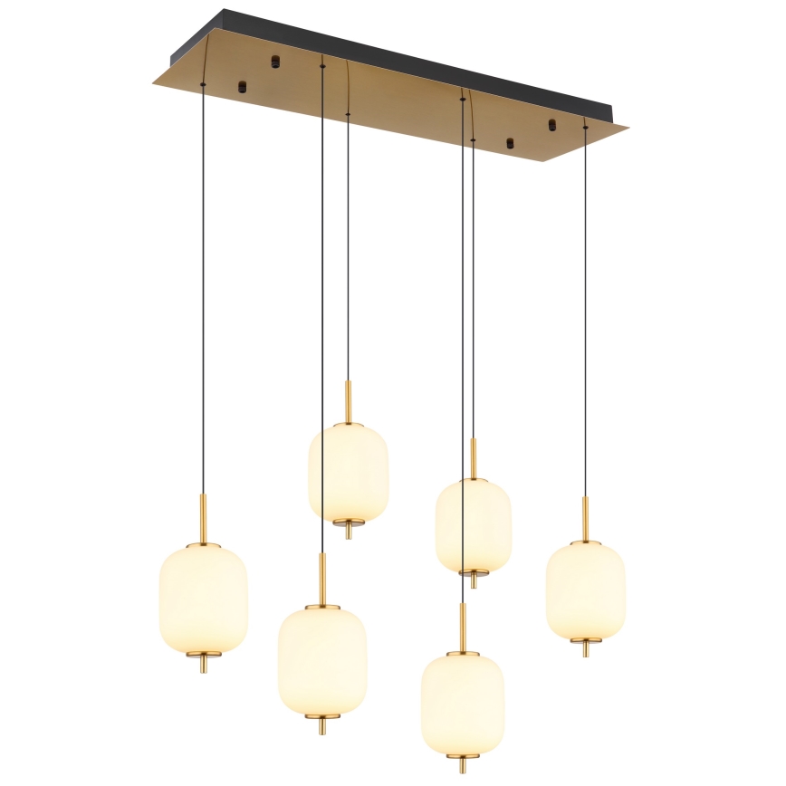 Globo - LED Luster na sajli 6xLED/6,7W/230V