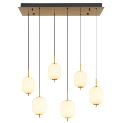 Globo - LED Luster na sajli 6xLED/6,7W/230V