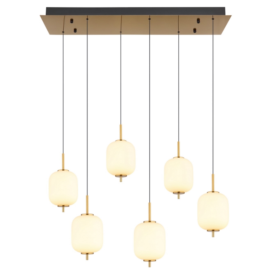 Globo - LED Luster na sajli 6xLED/6,7W/230V
