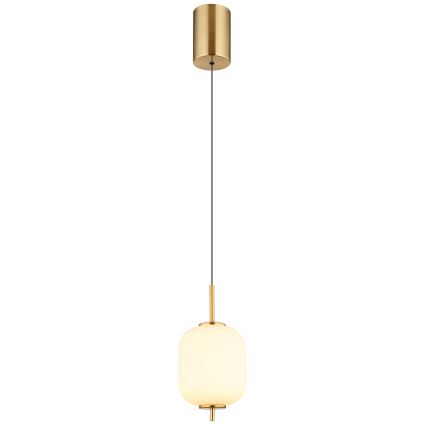 Globo - LED Luster na sajli LED/7W/230V