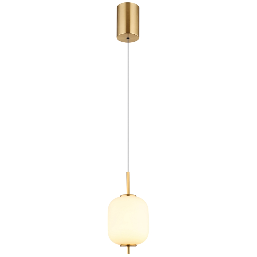 Globo - LED Luster na sajli LED/7W/230V