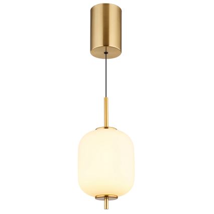 Globo - LED Luster na sajli LED/7W/230V