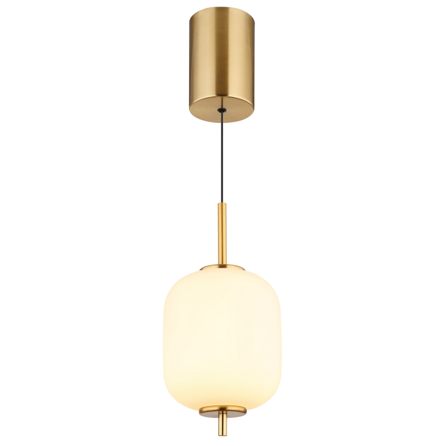 Globo - LED Luster na sajli LED/7W/230V