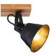 Globo - Reflektorska svjetiljka 2xE27/60W/230V jela
