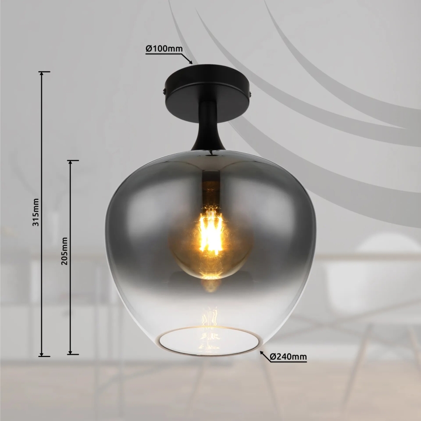 Globo - Stropna svjetiljka 1xE27/40W/230V dimna