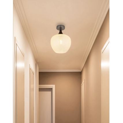 Globo - Stropna svjetiljka 1xE27/40W/230V bijela/antracit