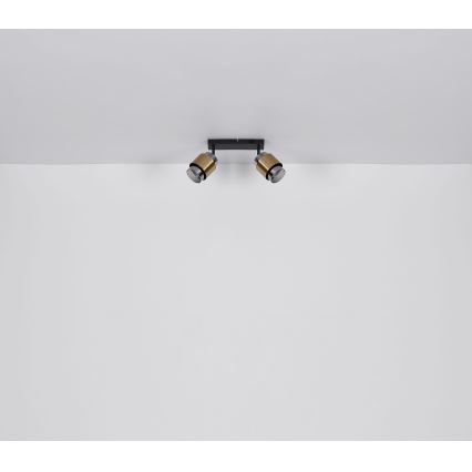 Globo - Reflektorska svjetiljka 2xE27/40W/230V crna/mesing