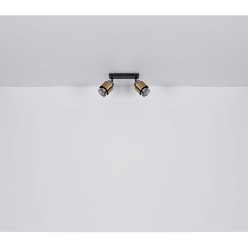 Globo - Reflektorska svjetiljka 2xE27/40W/230V crna/mesing