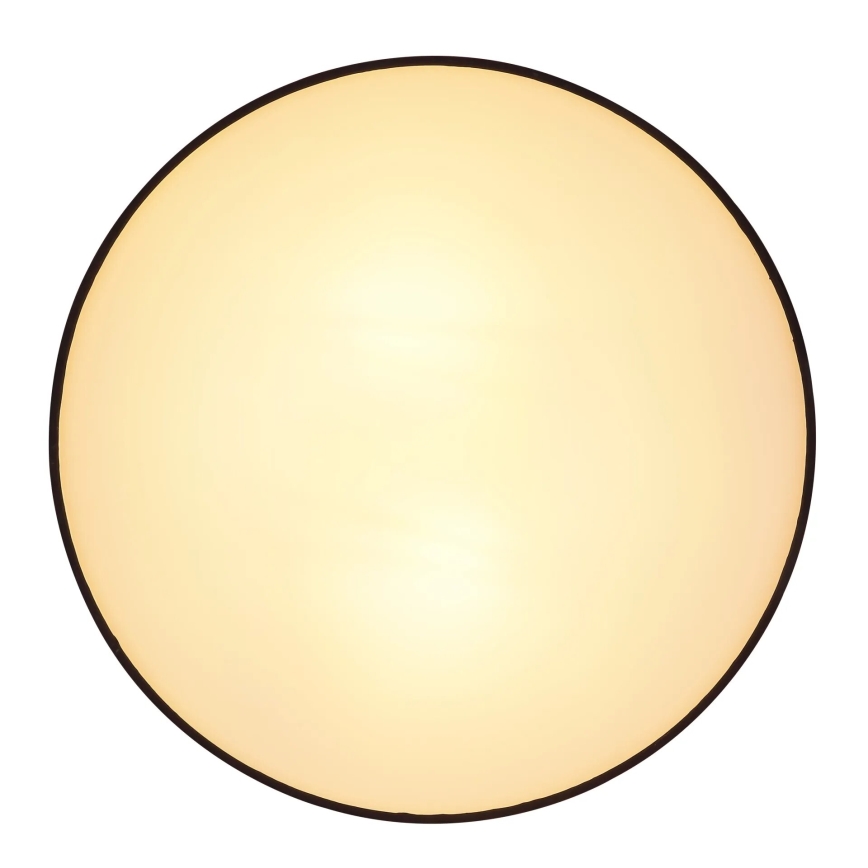 Globo 15582D - Stropna svjetiljka INGEBORG 2xE27/15W/230V