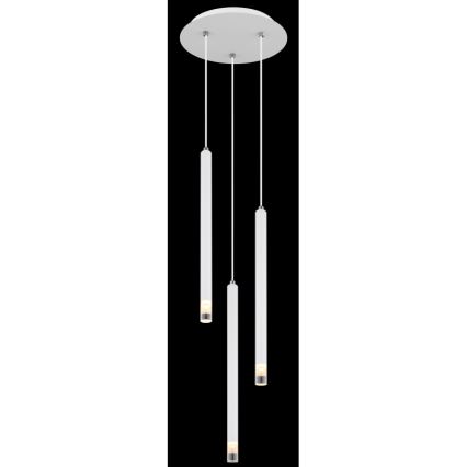 Globo - Luster na sajli 3xG9/4W/230V pr. 24 cm