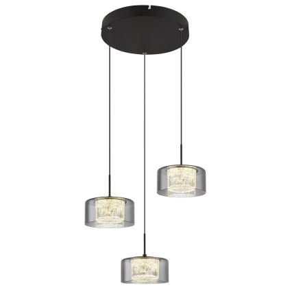 Globo - LED Luster na sajli 3xLED/8W/230V