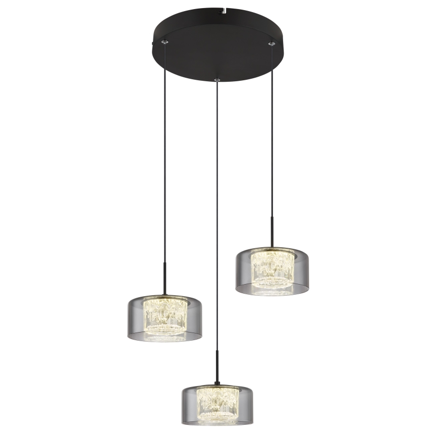 Globo - LED Luster na sajli 3xLED/8W/230V