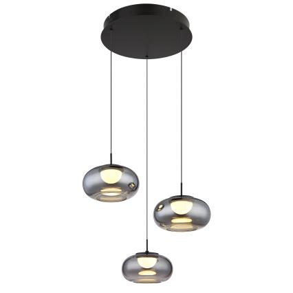 Globo - LED Luster na sajli 3xLED/6W/230V