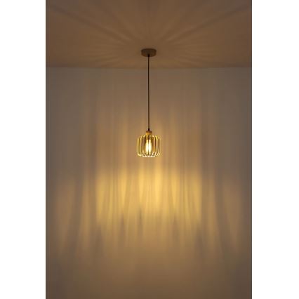 Globo - Viseći luster na sajli 1xE27/40W/230V Ø 18 cm