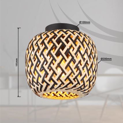 Globo 15766D - Stropna svjetiljka COLLY 1xE27/15W/230V