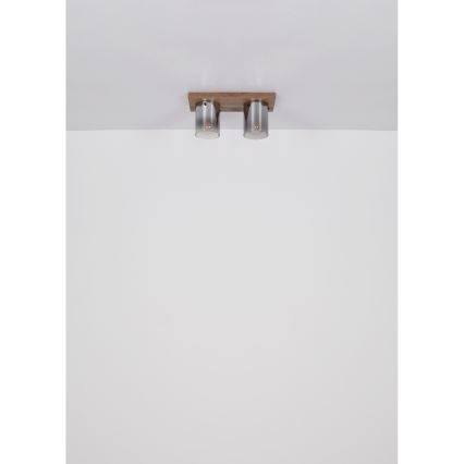 Globo - Stropna svjetiljka 2xE27/40W/230V 16x41 cm