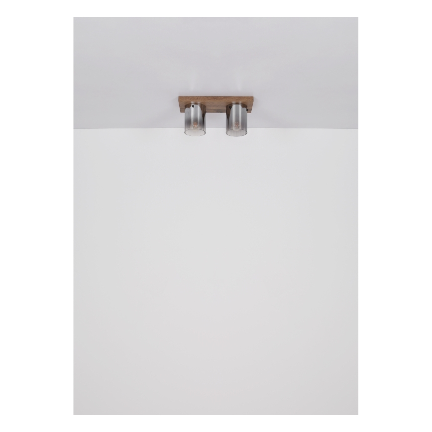 Globo - Stropna svjetiljka 2xE27/40W/230V 16x41 cm