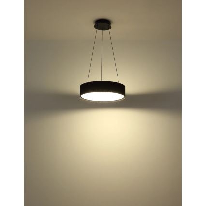 Globo - LED viseći luster na sajli LED/45W/230V 2700/4000/6000K, promjer 46 cm, crne boje