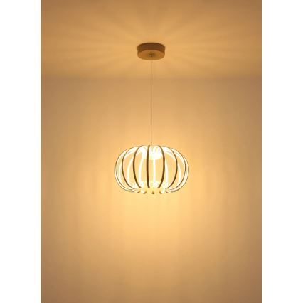 Globo - LED luster na sajli s mogućnošću prigušivanja LED/40W/230V 3000K