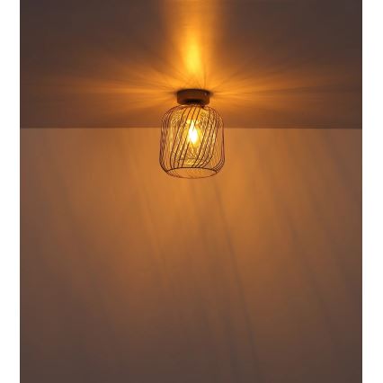 Globo - Stropna svjetiljka 1xE27/40W/230V Ø 18 cm