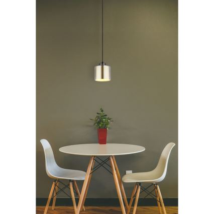 Globo - Luster na sajli 1xE27/60W/230V sjajni krom pr. 14 cm