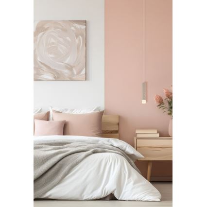 Globo - LED punjiva svjetiljka 2u1 s dodirnim prigušivanjem LED/2W/230/5V