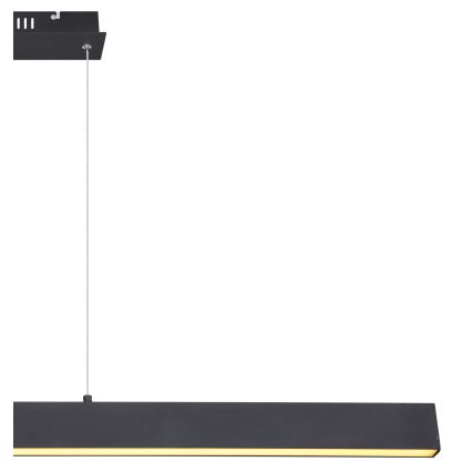 Globo - LED luster na sajli s mogućnošću prigušivanja LED/40W/230V 3000K
