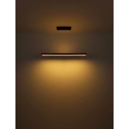 Globo - LED luster na sajli s dodirnim prigušivanjem LED/24W/230V + LED/3W 3000K smeđa