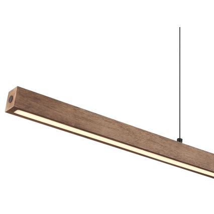 Globo - LED luster na sajli s dodirnim prigušivanjem LED/24W/230V + LED/3W 3000K smeđa
