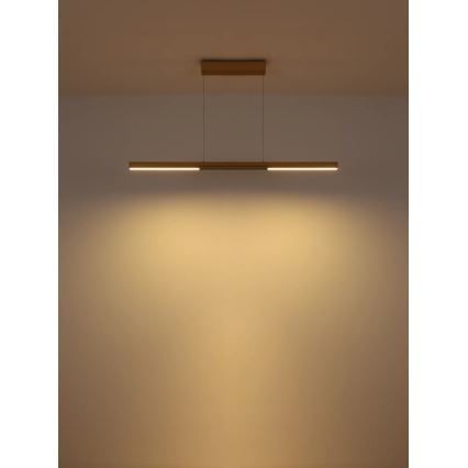 Globo - LED luster na sajli LED/24W/230V 3000K