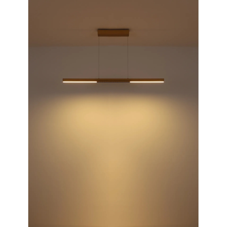 Globo - LED luster na sajli LED/24W/230V 3000K