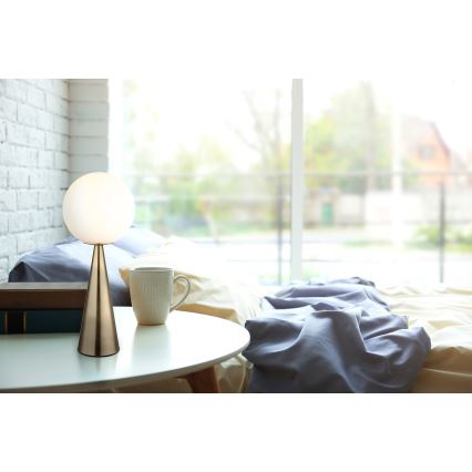 Globo - Stolna lampa 1xE27/40W/230V mesing